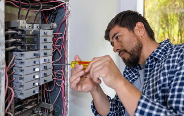 Best Ceiling Fan Installation Electrician  in Lake Andes, SD